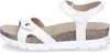 Sulia Basics B1 Produktbild-Vorschau 69