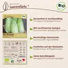 Samenliebe  Zichorie Samen | Zuckerhut Auslese - winterhart Produktbild-Vorschau 3
