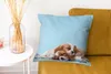 MuchoWow® Zierkissen Sofakissen Wohnzimmer Dekokissen 45x45 Produktbild-Vorschau 6