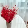 Flachs Getrocknete - (Leinen) - Rot Produktbild-Vorschau 4