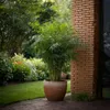 A potted bamboo plant sits on a paved walkway next to a brick wall, with a garden in the background. Podgląd zdjęcia produktu