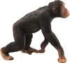 Schleich, Figurine Wildlife Männlicher Schimpanse aus den Produktbild-Vorschau 5