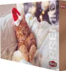 TRIXIE PREMIO Adventskalender für Katzen, 24,5 × 37 × 3,5 Náhľad obrázku produktu 6