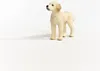 Schleich 13939 Pies Rasy Goldendoodle. Náhľad obrázku produktu 6