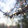 Lampki choinkowe Led BERRY MINI 700 kulek 14m sterownik i Podgląd zdjęcia produktu 12