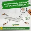 Ameisen Falle mit Spezial-Lockstoff – 3x Fallen – Ameisen Produktbild-Vorschau 4