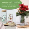 comforder – Perle d'acqua trasparenti – Perle d'acqua Anteprima dell’immagine prodotto 6