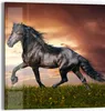 DEQORI Glasbild Echtglas 50x50 cm 'Schwarze Perle Produktbild-Vorschau 1
