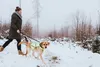 HUNTER Warnweste für Hunde, stufenlos verstellbar, wasser- Produktbild-Vorschau 6