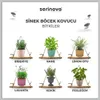 Set van 3 taupe-kleurige bloempotten, kristaldesign - Productafbeelding-voorbeeld 6