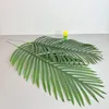 Deko-dadelpalmblad, 84 cm – Natuurgetrouw en flexibel Productafbeelding-voorbeeld 4