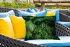 MuchoWow® Outdoor Kissen - Blätter - Monstera - Abstrakt - Produktbild-Vorschau 4