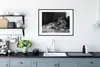 MuchoWow® MuchoWow® Gerahmtes Poster Panther - Schwarz - Produktbild-Vorschau 4