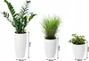 Three white planters of different sizes with plants, with dimensions indicated by measurement lines and text. Anteprima dell’immagine prodotto