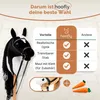 Hoofly® Hobby Horse Black (piebald) - Cavallo da passatempo Anteprima dell’immagine prodotto 12