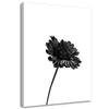 Leinwandbild einzelne blume 60x90 cm Feeby grau wandbild Produktbild-Vorschau 1