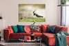 MuchoWow® Poster Vogel - Gras - Tiere - Natur - Kiebitz Produktbild-Vorschau 2