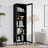 Vetrina Libreria a 4 ripiani Vetrina in metallo lucido Nero Anteprima dell’immagine prodotto 7