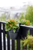 Blumenkasten zum Hängen Elho Vibia Campana flower twin Produktbild-Vorschau 8
