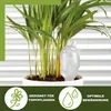 Scheurich Wasserspender Bördy M | 2 x Klar | 220ml Produktbild-Vorschau 3