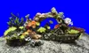 Nobby Aqua Ornaments Koralle mit Pflanzen Deko 13x10x12 cm Produktbild-Vorschau 3