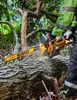 DEWALT 54-Volt-Akku-Kettensäge 45cm - 1 Akku 3.0 Ah 54V - Produktbild-Vorschau 11