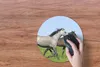 MuchoWow® Mauspad Mousepad Pferde - Tiere - Gras 30x30 cm - Produktbild-Vorschau 3
