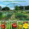 Arche de jardin - Treillis pour plantes grimpantes Arche de Voir les images du produit 4