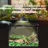 Terrarium dla gadów D40-015V02, pojemnik na pokarm dla Podgląd zdjęcia produktu 13