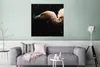 MuchoWow® Poster Geier - Weiß - Schwarz 75x75 cm - Wand Produktbild-Vorschau 5
