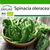 SAFLAX - BIO - Špenát - Matador - Spinacia oleracea - 300 Náhled obrázku produktu 10