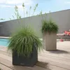 Fioriera LECHUZA CANTO Stone 40 High Nero grafite | Anteprima dell’immagine prodotto 15
