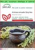 SAFLAX Garden to go - Armoise annuelle Qing Hao - 250 Voir les images du produit 1