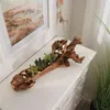 Holzdeko "Wurzel" Dekoschale 50 cm lang, rustikal Produktbild-Vorschau 2