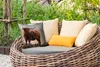 MuchoWow® Outdoor Kissen - Schottische Hochlandrind - Tiere Produktbild-Vorschau 3