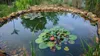 Premium PVC pond liner nero Pond liner pond tarpaulin  EU Anteprima dell’immagine prodotto 8