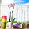 A collection of colorful plant pots and an orchid plant are displayed on a wooden surface in front of a window with white lace curtains. Anteprima dell’immagine prodotto