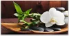 Acrylglasbilder 120x60 Wandbild Druck Blume Bambusrohr Produktbild-Vorschau 1