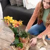 Kolibri Orchids – překvapivá krabička s rostlinami, výhodná Náhled obrázku produktu 2