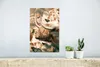 MuchoWow® Poster Schottische Hochlandrind - Sonne - Produktbild-Vorschau 5