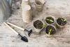 Gardening tools and seedlings on a wooden surface. Produktbild-Vorschau