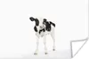 MuchoWow® Poster Kuh - Kalb - Weiß - Tiere 120x80 cm - Produktbild-Vorschau 1