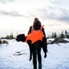 Non-stop dogwear Dog rescue sling |297, Größe:S Produktbild-Vorschau 4