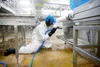 Elka Cleaning Pro PolyurethanSchlupfjacke mit Kapuze weiß  Produktbild-Vorschau 4