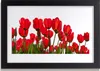 Bild 30x20 MDF-Rahmen Wandkunst Flowers On The Wall Produktbild-Vorschau 1