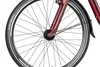 Adler Verona Wave vielseitiges Trekkingbike mit Produktbild-Vorschau 5