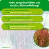 Purgrün Blutgras-Dünger 1 Liter, Produktbild-Vorschau 3