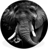 MuchoWow® Rundes Wandbild - Runde Bilder Elefant - Rauch - Produktbild-Vorschau 1