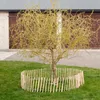 Creative Home Recinzione Naturale Giardino 35cm x 5m | Anteprima dell’immagine prodotto 7