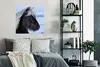 MuchoWow® Poster Pferd - Schnee - Island 75x75 cm - Wand Produktbild-Vorschau 4